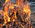 大慶耐高溫潛水泵廠家