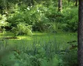 排沙型深井泵
